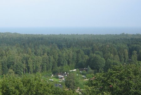 Jälle katuseid mööda