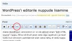 WordPressi editor 2