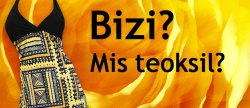 BIZI - Mis teoksil?