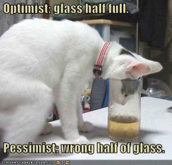 Optimist ja pessimist