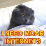 I Need Moar Internets