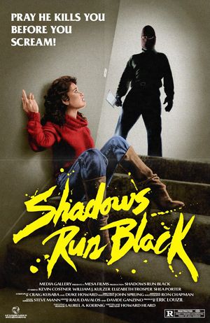 Shadows Run Black