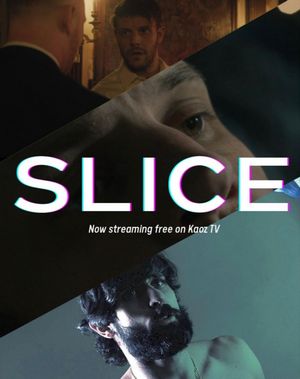 Slice